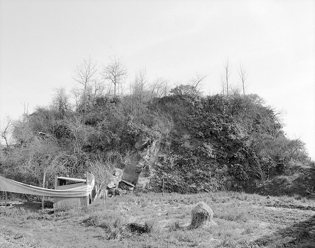 Vue rapprochée des vestiges de l'ancienne forteresse.