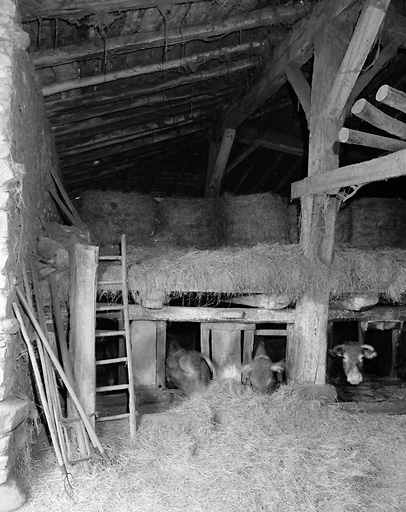 Intérieur de la grange-étable. Vue partielle de la barge gauche et d'un poteau soutenant la charpente.