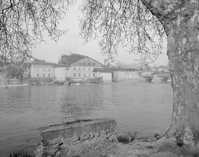 Vue d'ensemble depuis la rive droite de la Vienne.