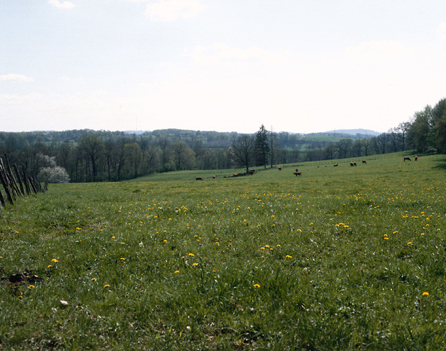 Vue des monts de Châlus depuis les pâturages d'Arthout (commune de Saint-Martin-le-Vieux).