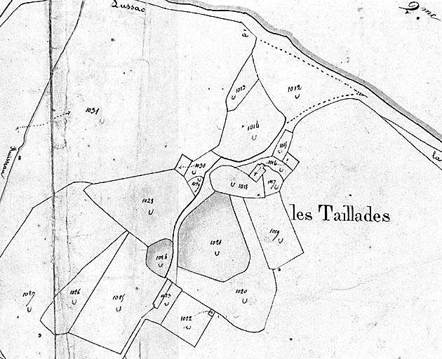 Extrait du plan cadastral de 1825, section C4, parcelle 1016.
