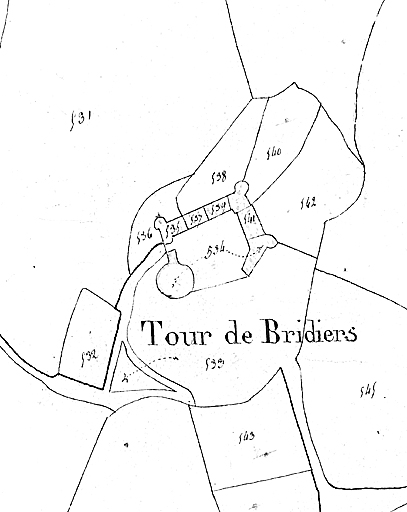 Extrait du plan cadastral de 1825, section D2, Bridiers, parcelles 533 à 542.