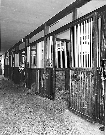 Petites écuries, intérieur, vue prise de l'est.