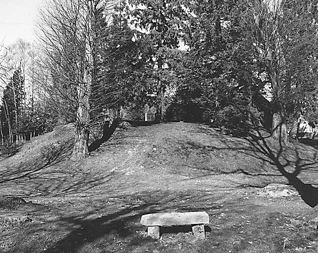 Jardin. Motte castrale.