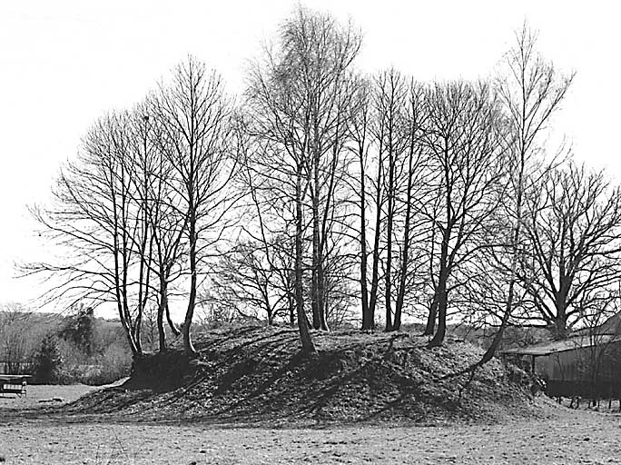 Azerables, le Theil. Motte, vue générale prise depuis l'ouest. Cadastre 1980 C2 620.