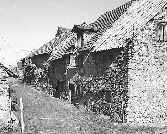 Bussière-Madeleine. Vue de trois anciens logis de ferme et de deux granges-étables disposés en enfilade. Cadastre 1996 AK 325, 329.