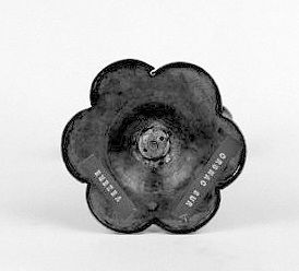 Vue du dessous du pied.