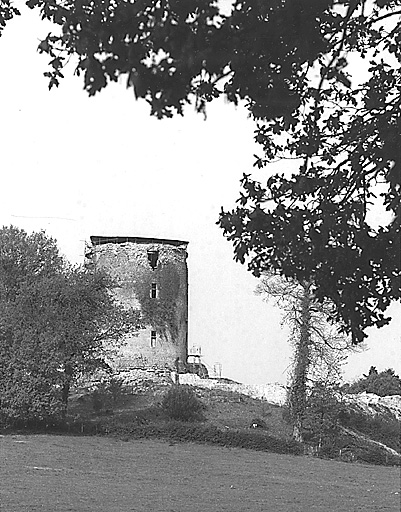 Vue du donjon, prise depuis l'ouest, en 1997, au moment du chantier de restauration.