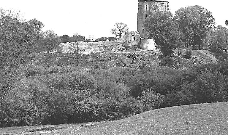 Vue éloignée, depuis l'ouest, du donjon et de l'enceinte, au moment du chantier de restauration de 1997.