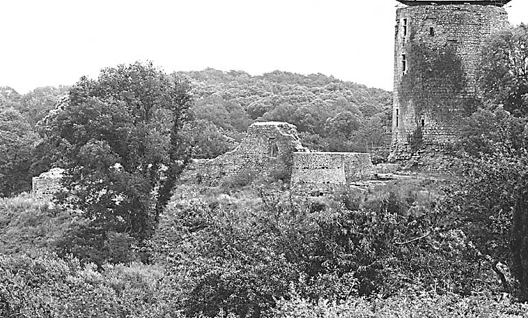 Vue rapprochée, depuis l'ouest, du donjon et de l'enceinte, au moment du chantier de restauration de 1997.