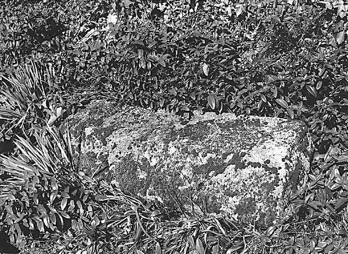 Bourg, ancien cimetière. Pierre tombale en bâtière.