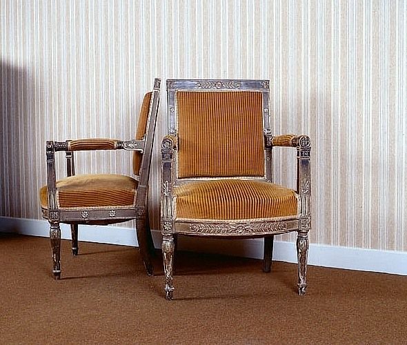 Vue d'ensemble (face et profil).