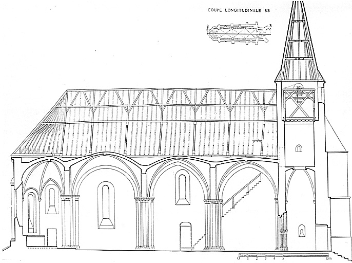 Coupe longitudinale.