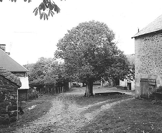 Vue générale depuis l'entrée est de la cour. A gauche, ancien logis ou logement transformé en remise et logis actuel, à droite, diverses granges-étables.