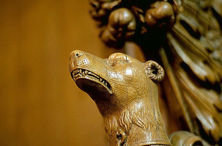 Vue de profil de la tête de levrette de la jouée ouest des stalles sud.