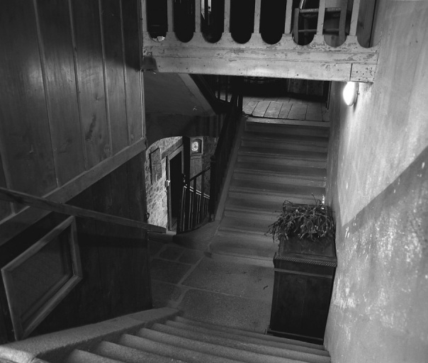 Premier étage. Vue, depuis le côté nord, de la deuxième volée double de l'escalier, partant d'un repos et à montées divergentes.