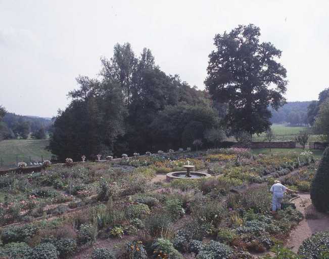 Vue d'ensemble des massifs de plantes vivaces.