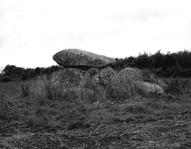 Dolmen dit la cabane de César