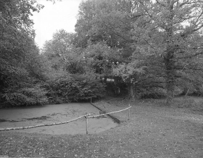 Environnement nord-est de la fontaine; retenue d'eau alimenté par un ruissellement est ouest vers la Creuse; la fontaine est au fond sous les arbres, en bordure d'un chemin allant de la Salle à la Sagne.