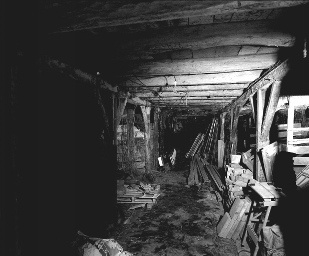 Grange étable, de type auvergnat, accolée au logis et constituée d'un passage couvert. Vue de l'étable, accessible par une porte donnant dans le passage couvert.