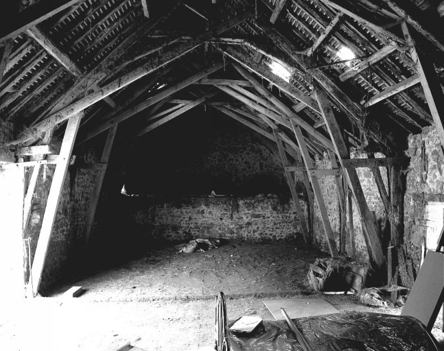 Grange étable, de type auvergnat, accolée au logis. Vue intérieure de la grange montrant la charpente.