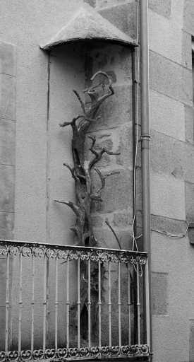 7 rue des Tours-de-l'Horloge. Maison (AM 58). Elément réalisé en rocaille et représentant un tronc d'arbre ; ornant le balcon du premier étage, il devait tenir office de perchoir pour les oiseaux. Vue légèrement de trois-quarts.