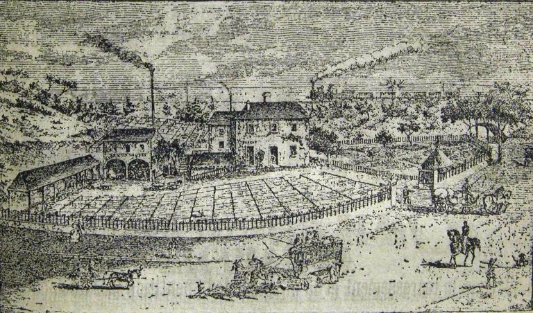 Publicité de la blanchisserie Baron en 1873. Détail.