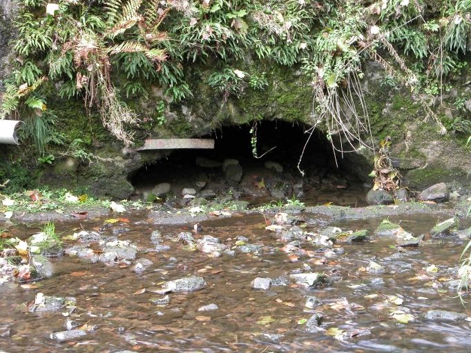Vestiges d'un canal d'amenée ou de fuite de l'usine.