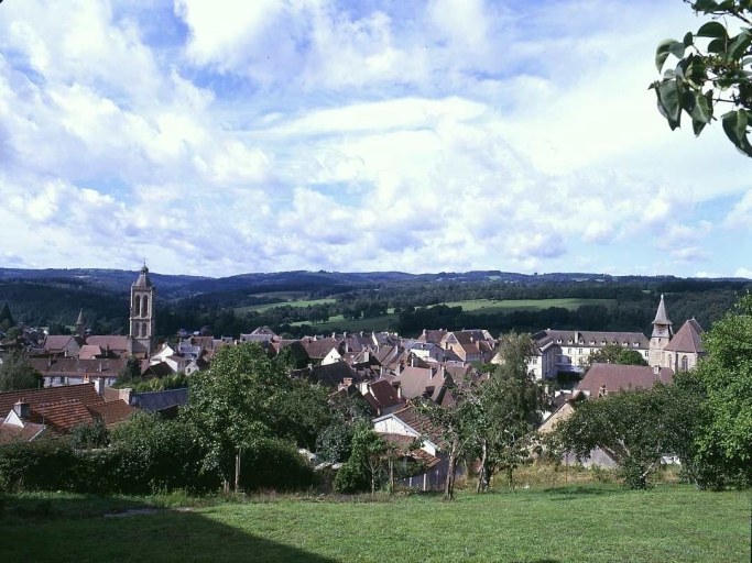 Vue générale prise depuis l'est et montrant les deux églises.