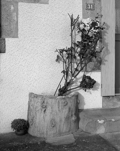 31 Rue de Beaumont. Maison (cadastre AK 234). Vue d'une jardinière effectuée en ciment armé (décor en rocaille) ornant le seuil de la porte d'entrée.