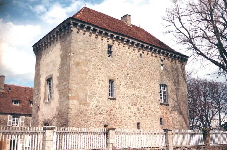 Donjon, vue d'ensemble prise depuis le sud-ouest.