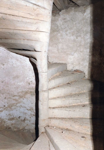 Vue partielle de l'escalier en vis, en granite puis en bois, à mi-hauteur de la tour en demi hors-oeuvre desservant le donjon.