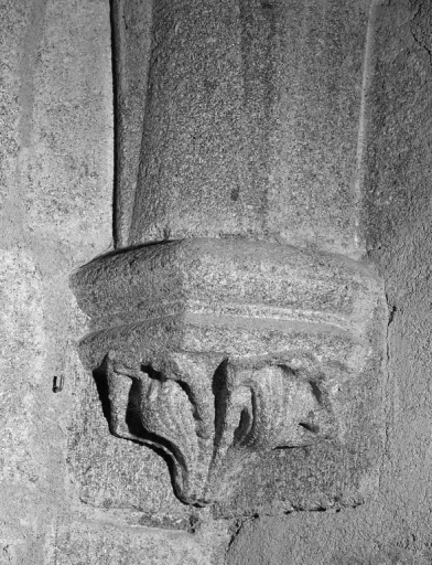 Chapelle latérale nord du choeur. Culot de l'angle sud-est représentant deux éléments végétaux. Vue d'ensemble.