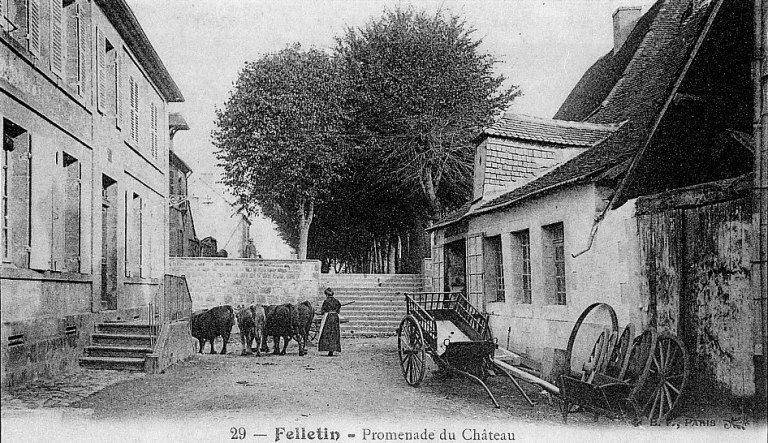 Place des Arbres. Vue partielle montrant à droite un bâtiment à usage agricole ou artisanal, aujourd'hui démoli et une femme menant un troupeau de vaches.