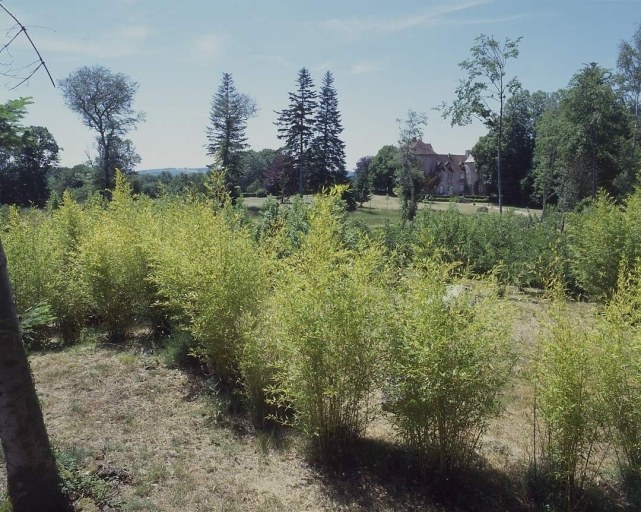 Vue prise à l'est, depuis le jardin paysager créé, après la tempête de 1999 par le paysagiste M. Hirou.