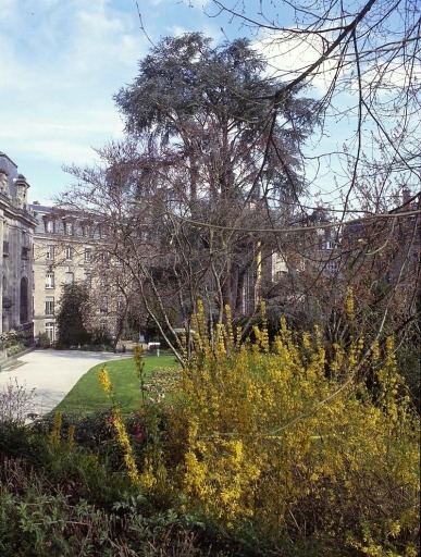 Vue du jardin prise en direction du porche d'entrée.