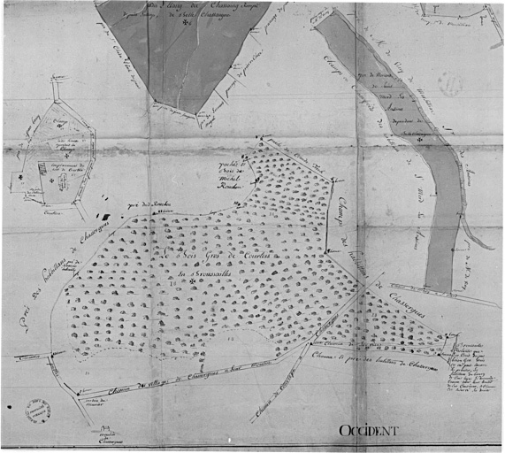 Détail des plans des maisons, églises, biens fonds et héritages dépendant en propre de la commanderie de Bellechassaigne : plan de situation de l'église et des bois de Courteix.