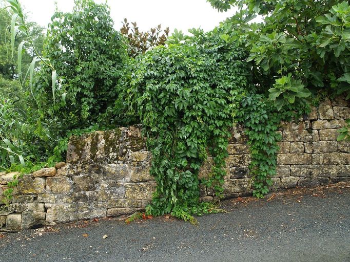 Vestiges du mur de clôture à chaperon triangulaire.