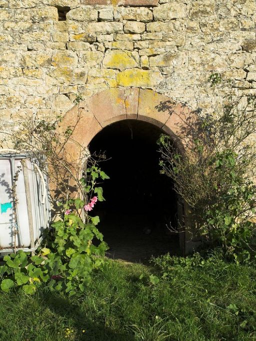 Détail de la porte de cave en arc en plein-cintre en grès rouge.
