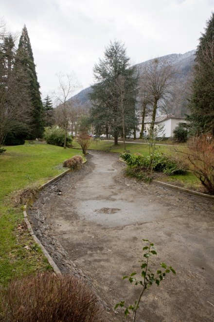 Vue d'une allée serpentant dans le parc.