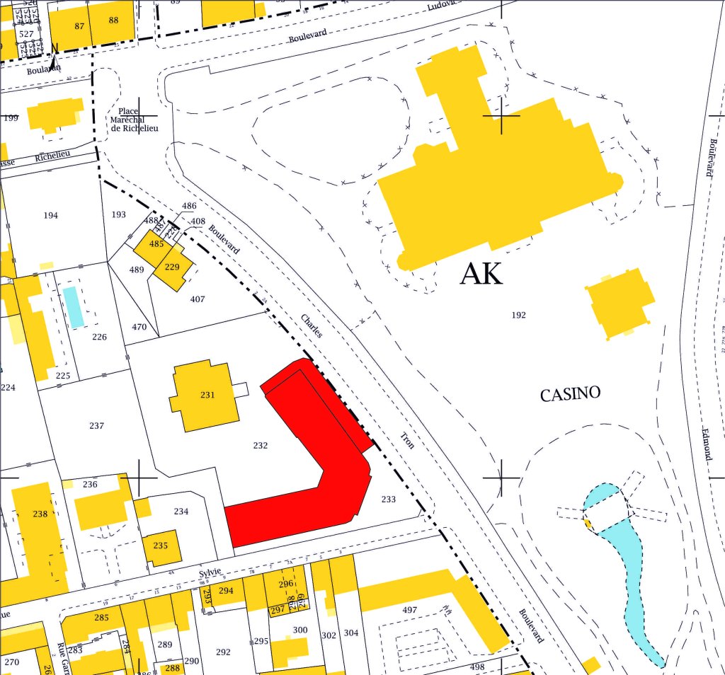 Plan de situation AK 233 (sur fond de plan cadastral DGFiP, 2017).