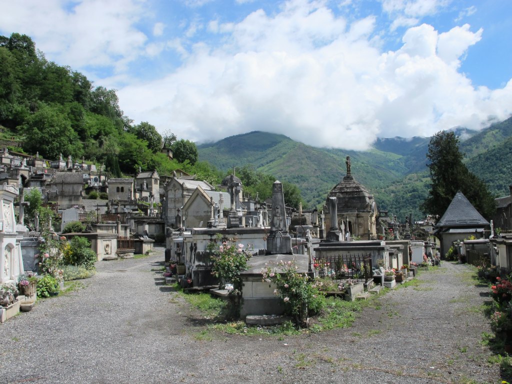 Vue des allées de la section n°1 du cimetière.