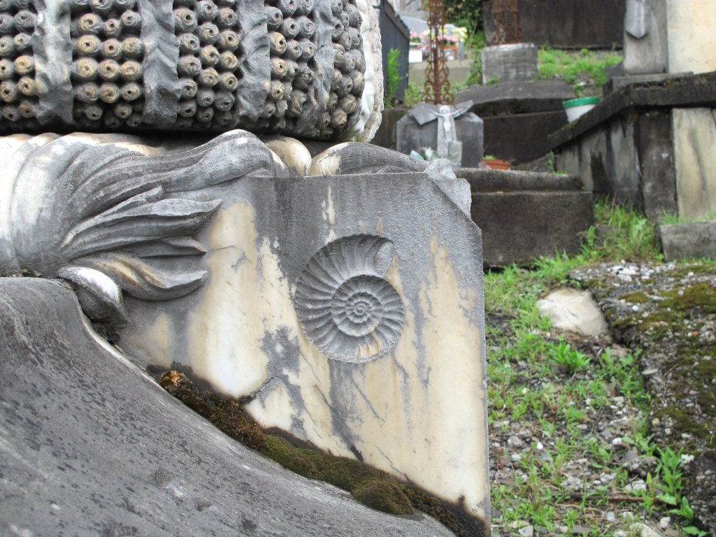 Détail d'un décor de coquillage.