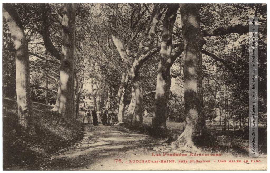 Une allée du parc (carte postale).