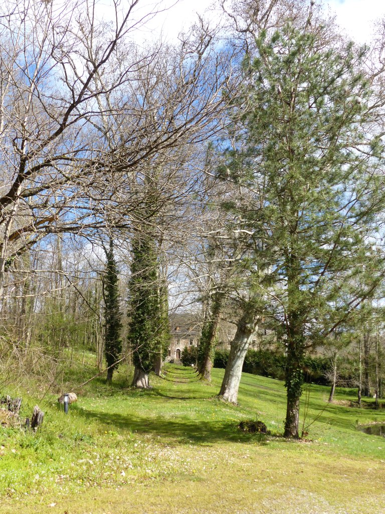 La grande allée, vue depuis le sud.