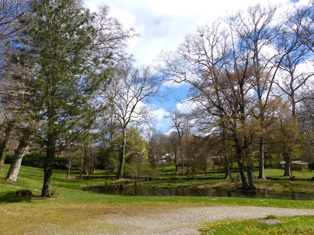 Vue nord-est de l'étang.