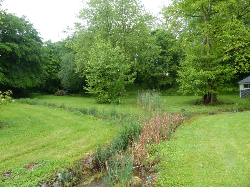Vue ouest du ruisseau.