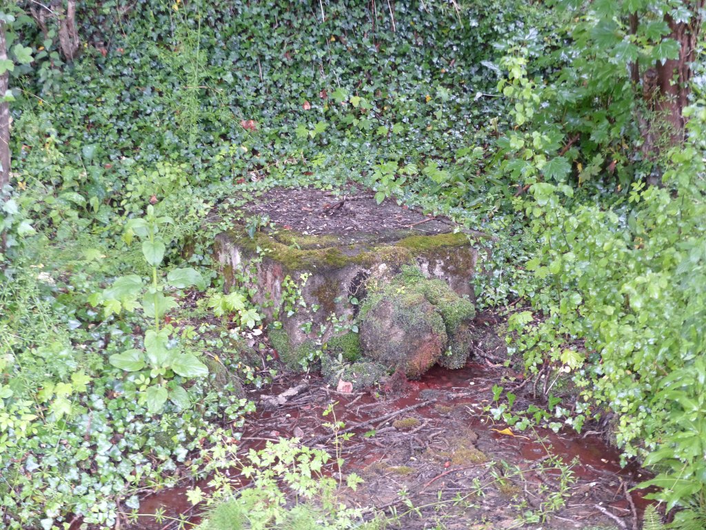 Point de captage de la Source des Yeux.