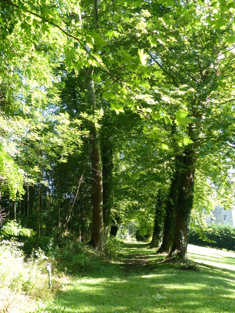 La grande allée, vue depuis le sud.