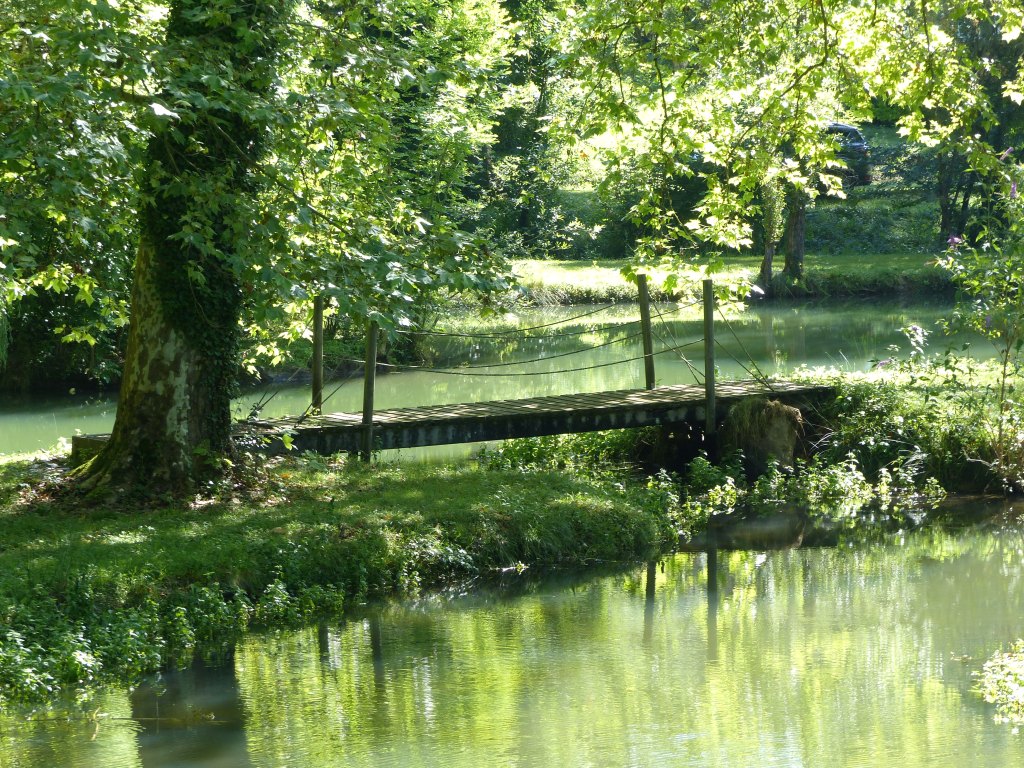 Vue de l'étang.